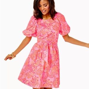 NWT Lilly Pulitzer Knoxlie Bow Sleeve Dress